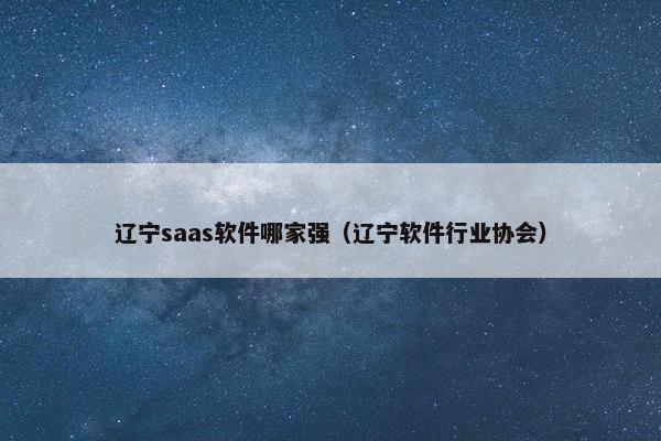 辽宁saas软件哪家强（辽宁软件行业协会）