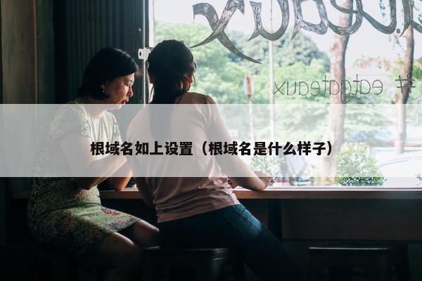 根域名如上设置（根域名是什么样子）