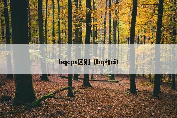 bqcps区别（bq和ci）