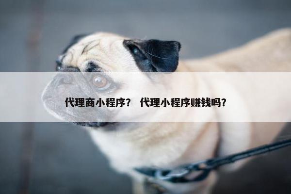 代理商小程序？ 代理小程序赚钱吗？