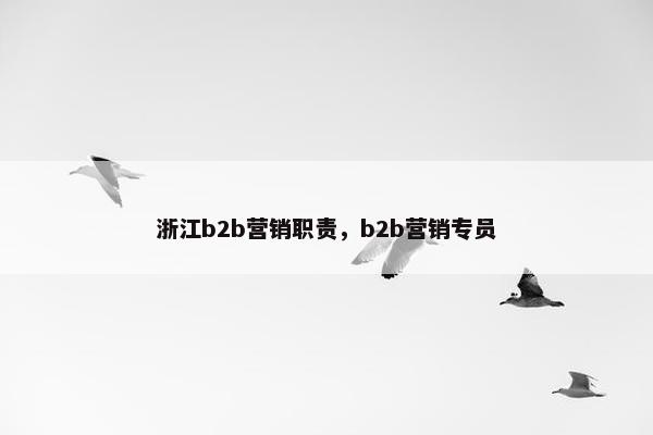 浙江b2b营销职责，b2b营销专员