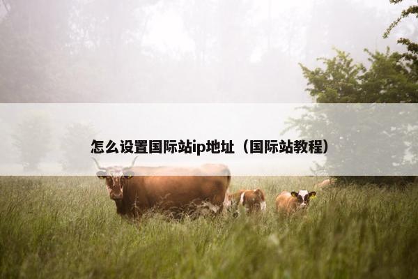 怎么设置国际站ip地址（国际站教程）