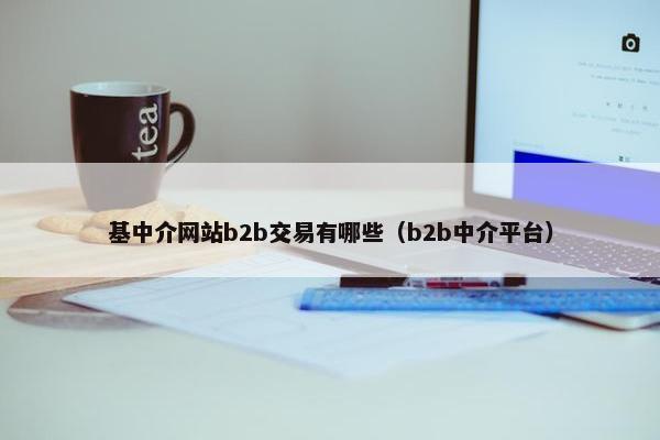 基中介网站b2b交易有哪些（b2b中介平台）