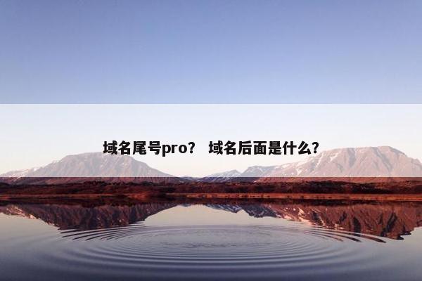 域名尾号pro？ 域名后面是什么？