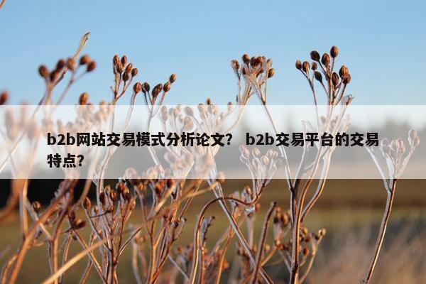 b2b网站交易模式分析论文？ b2b交易平台的交易特点？