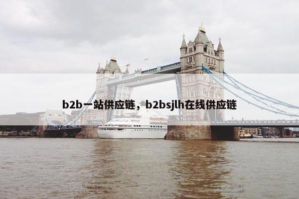 b2b一站供应链，b2bsjlh在线供应链