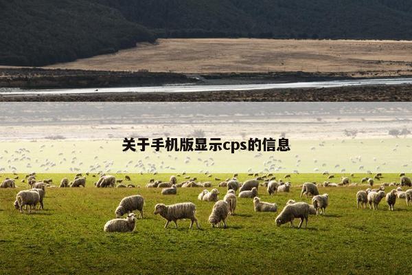 关于手机版显示cps的信息