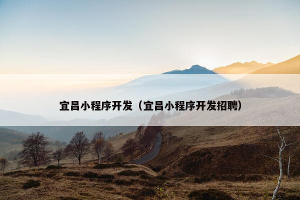 宜昌小程序开发（宜昌小程序开发招聘）