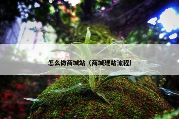 怎么做商城站（商城建站流程）