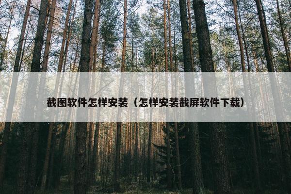 截图软件怎样安装（怎样安装截屏软件下载）
