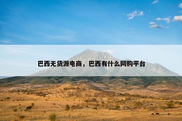 巴西无货源电商，巴西有什么网购平台