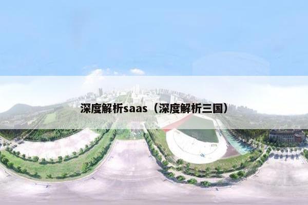 深度解析saas（深度解析三国）