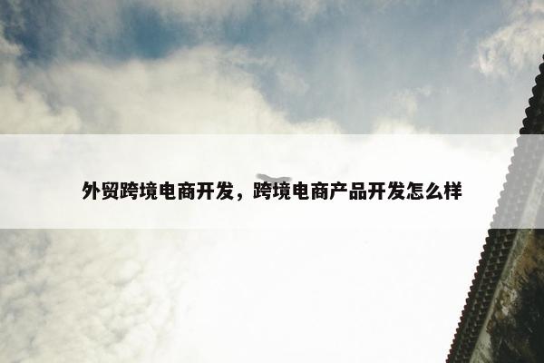 外贸跨境电商开发，跨境电商产品开发怎么样