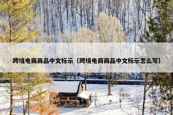 跨境电商商品中文标示（跨境电商商品中文标示怎么写）