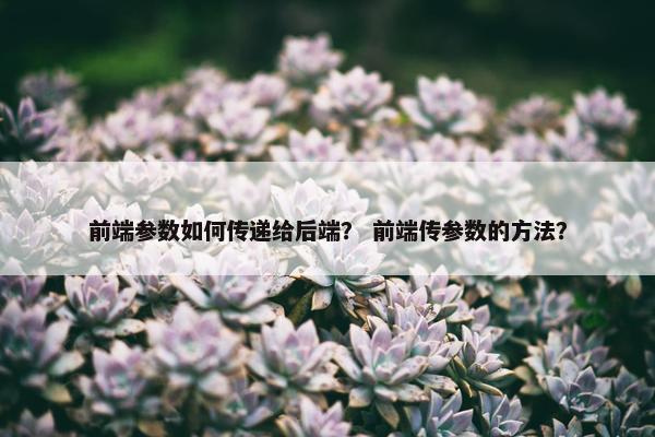 前端参数如何传递给后端？ 前端传参数的方法？