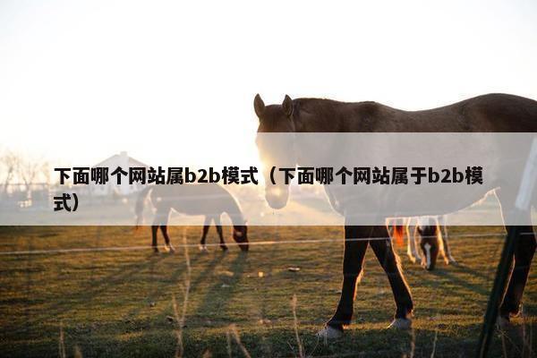 下面哪个网站属b2b模式（下面哪个网站属于b2b模式）