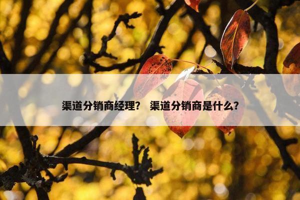 渠道分销商经理？ 渠道分销商是什么？