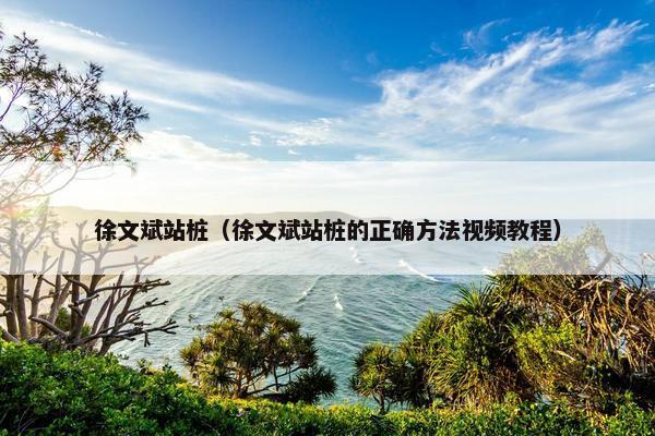 徐文斌站桩（徐文斌站桩的正确方法视频教程）