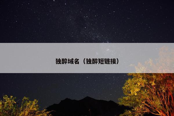 独醉域名（独醉短链接）