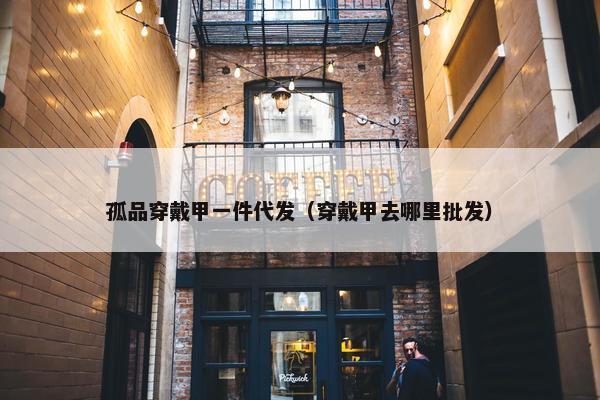 孤品穿戴甲一件代发（穿戴甲去哪里批发）