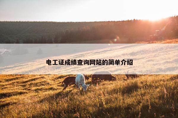 电工证成绩查询网站的简单介绍