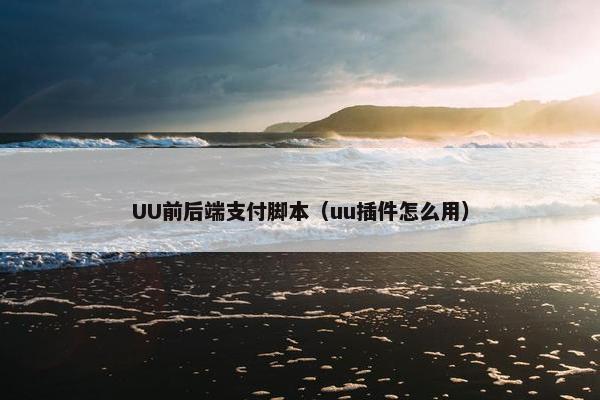 UU前后端支付脚本（uu插件怎么用）