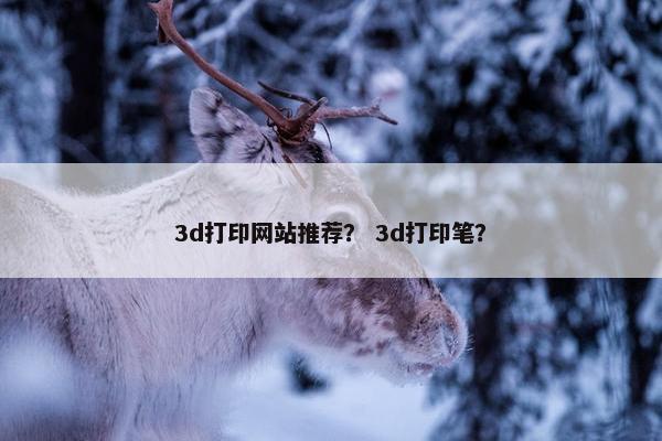 3d打印网站推荐？ 3d打印笔？