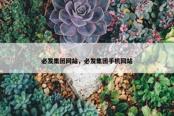 必发集团网站，必发集团手机网站