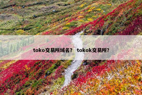 toko交易所域名？ tokok交易所？