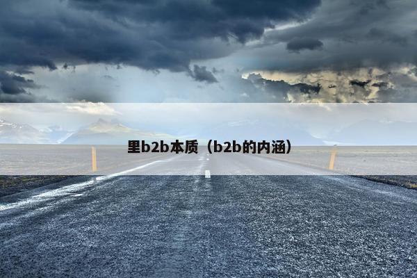 里b2b本质（b2b的内涵）