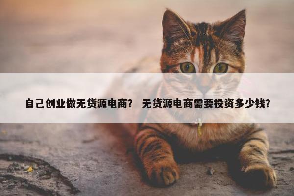 自己创业做无货源电商？ 无货源电商需要投资多少钱？