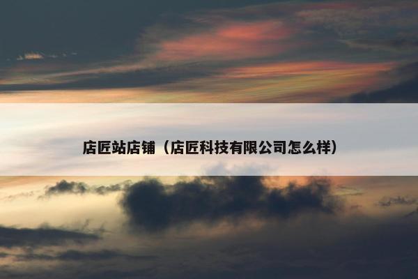 店匠站店铺（店匠科技有限公司怎么样）