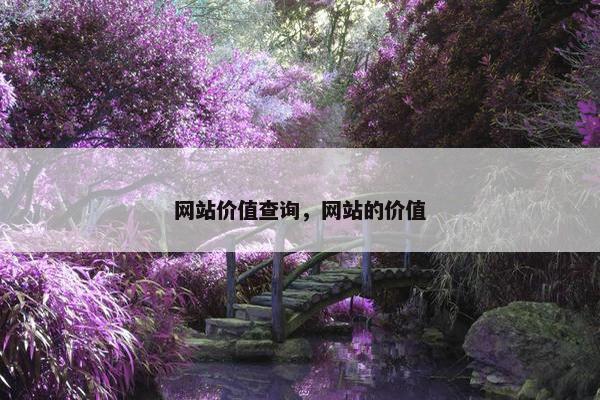 网站价值查询，网站的价值