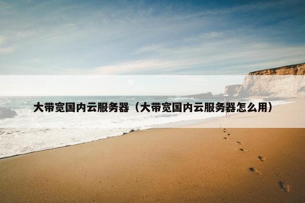 大带宽国内云服务器（大带宽国内云服务器怎么用）