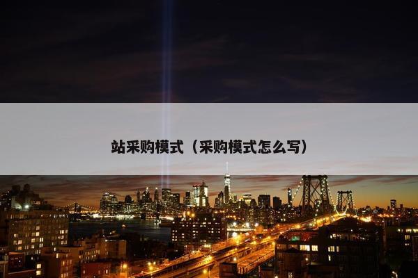 站采购模式（采购模式怎么写）