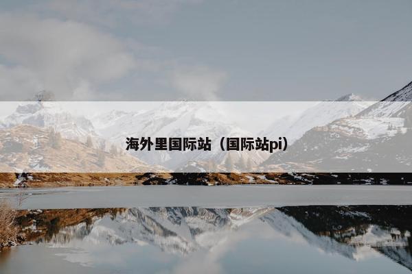 海外里国际站（国际站pi）