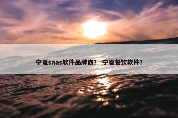 宁夏saas软件品牌商？ 宁夏餐饮软件？