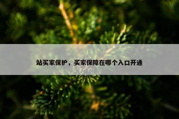 站买家保护，买家保障在哪个入口开通