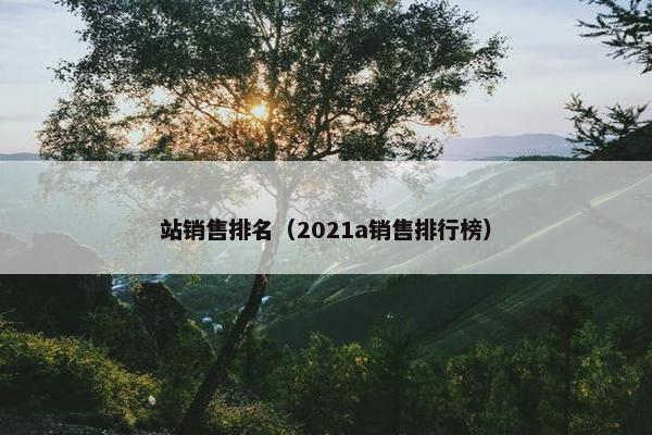 站销售排名（2021a销售排行榜）