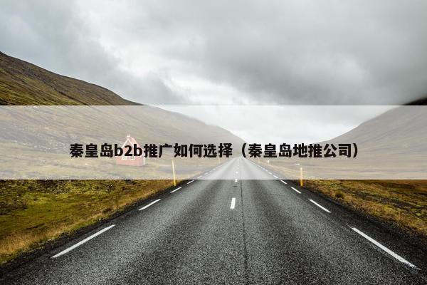 秦皇岛b2b推广如何选择（秦皇岛地推公司）