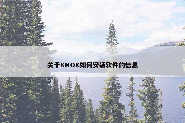 关于KNOX如何安装软件的信息
