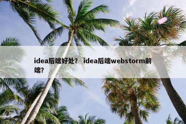 idea后端好处？ idea后端webstorm前端？