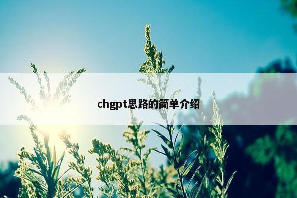 chgpt思路的简单介绍
