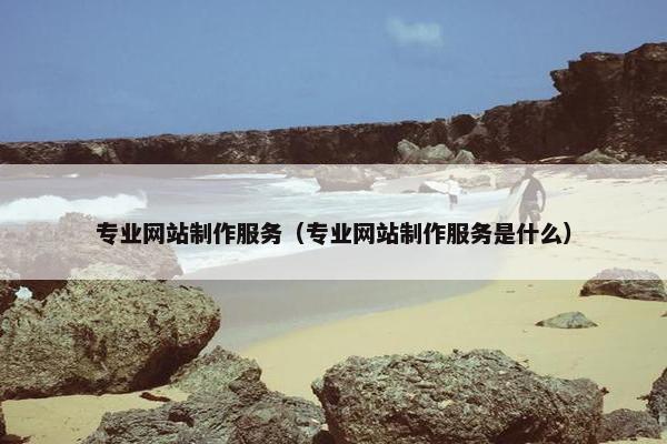 专业网站制作服务（专业网站制作服务是什么）