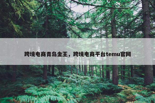 跨境电商青岛金王，跨境电商平台temu官网