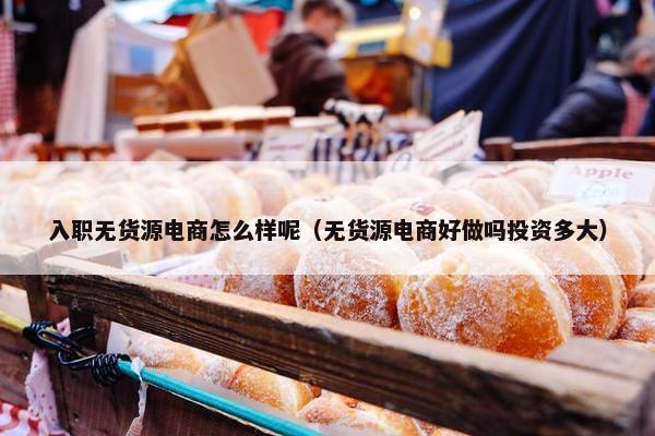 入职无货源电商怎么样呢（无货源电商好做吗投资多大）