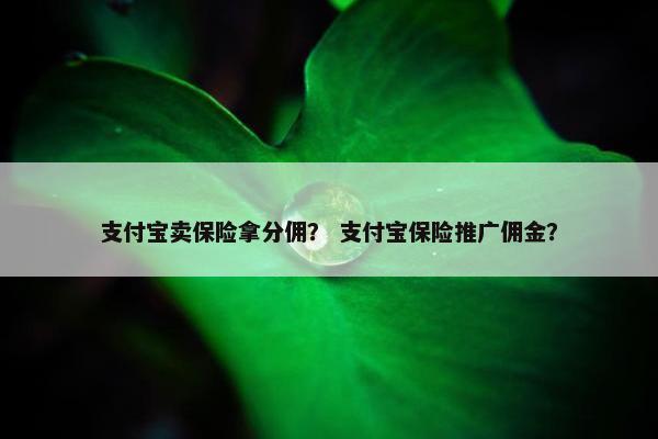 支付宝卖保险拿分佣？ 支付宝保险推广佣金？