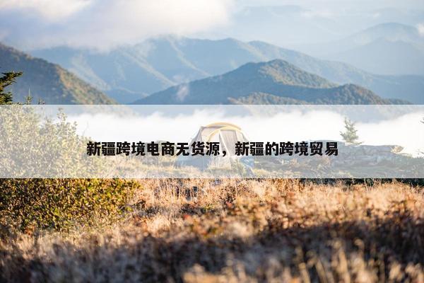 新疆跨境电商无货源，新疆的跨境贸易