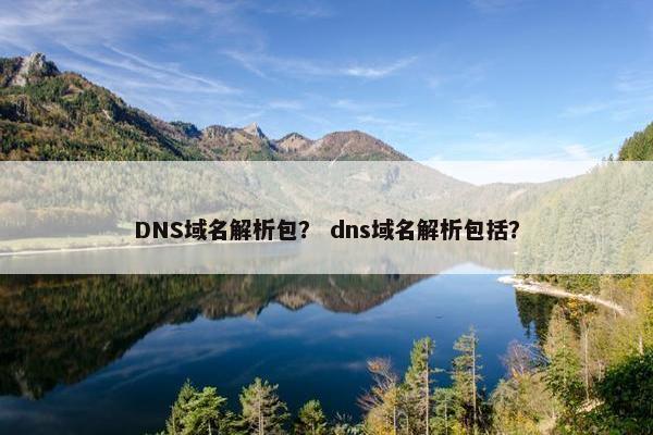 DNS域名解析包？ dns域名解析包括？