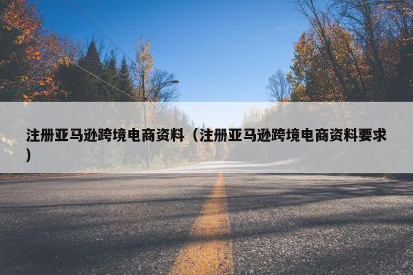 注册亚马逊跨境电商资料（注册亚马逊跨境电商资料要求）